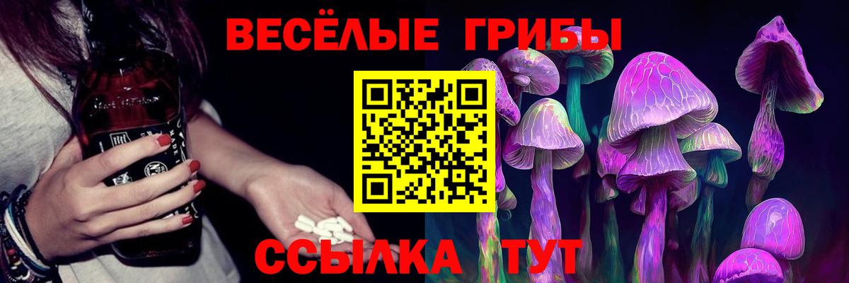 Галлюциногенные грибы прущие грибы  Галлюциногенные грибы мухоморы  Новочебоксарск  Вход с VPN 