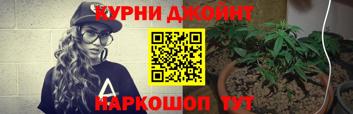 Шишки марихуана MAZAR Новочебоксарск